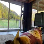 Hotel International House *